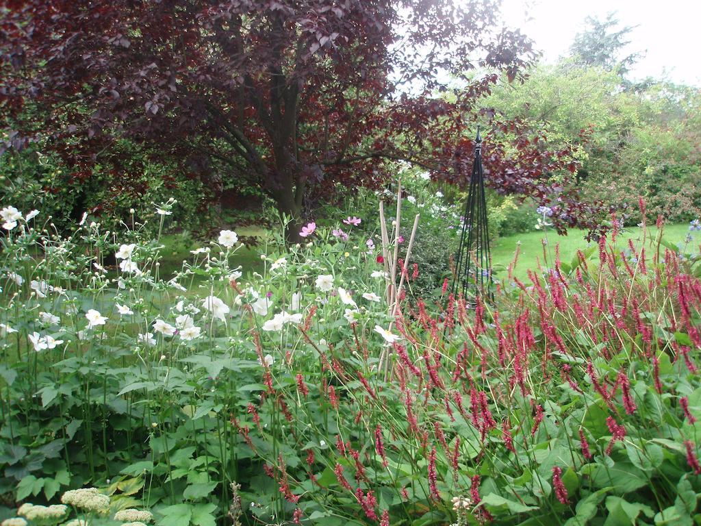 White House Farm Bed and Breakfast Hindolveston Exterior foto